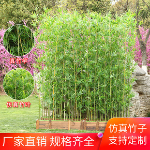 �������Ӽ�����ë�����쾰�^�Ƶ�ͥԺ�҃����b����L���༚ˮ����