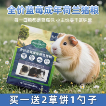 牛宠蓝莓提摩西草荷兰猪粮食天竺鼠粮美毛主粮高纤配方豚鼠饲料