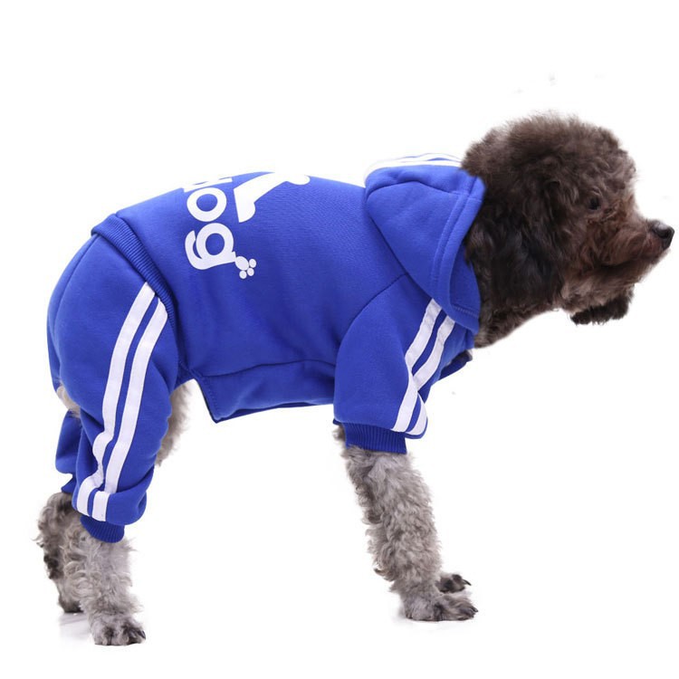 새로운 고양이 옷, 강아지 옷, 가을 겨울 강아지 옷, 네발 스웨트셔츠, 버튼 고양이 애완동물 용품 의류