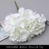 5 Hydrangea-White