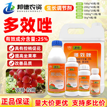 �����ى� 25%��Ч����֦����Ҵٻ����������ֲ��������L�{����