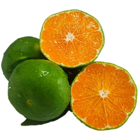 块茎类;其他水果;梨