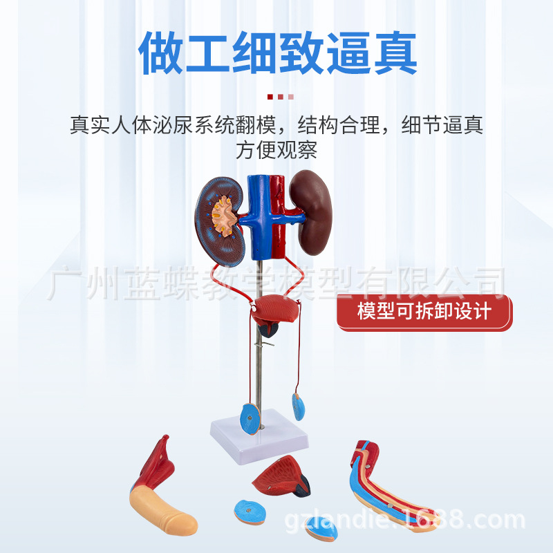 ������������ϵͳģ������ܰ������ ҽѧ��ֳϵͳ�������ģ��