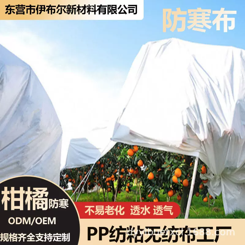 厂家直供PP无纺布拼布柑橘农业保温覆盖植物蔬菜防寒毯现货批发