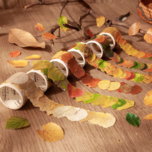 美好的樹葉異形膠帶 香榭的落葉系列 文藝手帳素材貼50枚 8款