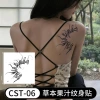 CST-06