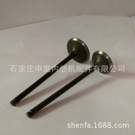 气门及部件;发动机总成;气门部件