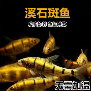 �t��Ϫʯ���~ �ⴽ�~ ��ˮ�~ ��ˮ�~�~Ƥ�����B�����~ԭ���~���]