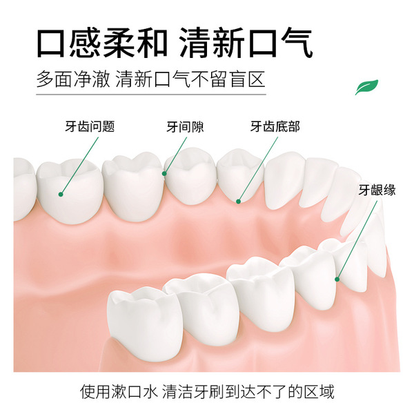 Fresh oral hygienic handheld disposable mouthwash