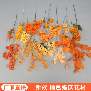 ��ɫϵ��c���滨��Y�������õ��Ż��͏d�͏d���·�����ٻ�����