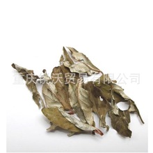 1000�����lɢ�b��Ʒ���j���~���j�~ţ�����~���d���~