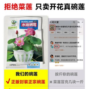 llˮ��ֲ����ɏ�N�����m�϶���N���������Ļ�˯ɏ����ˮ�B�ɻ�