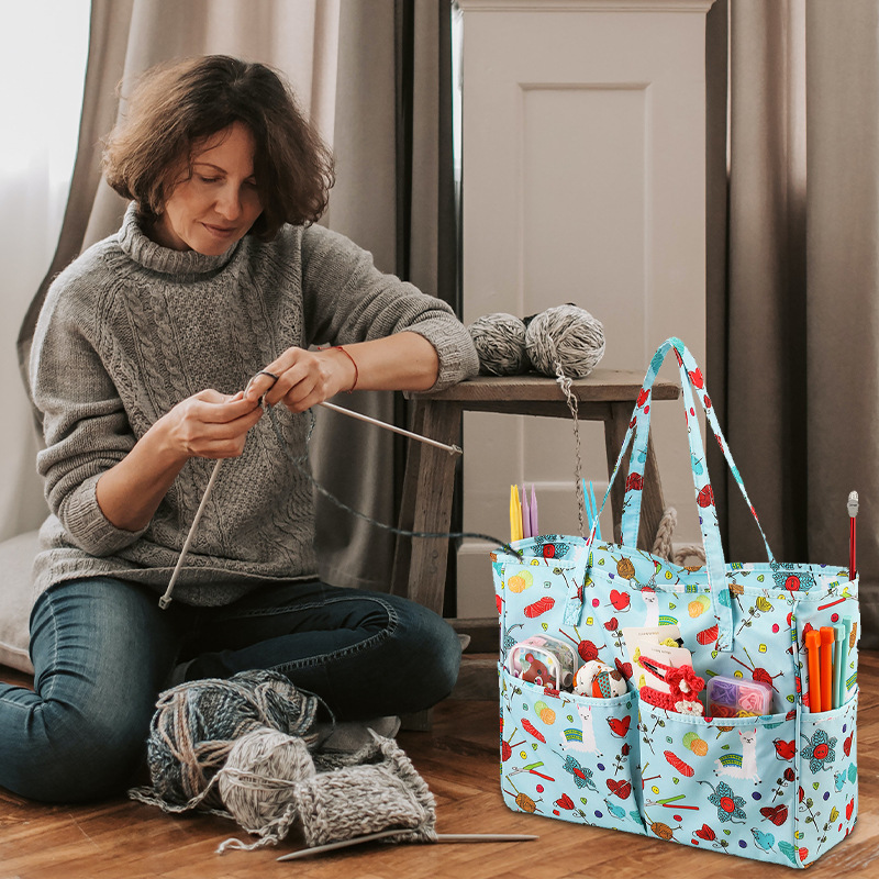 organizer bag