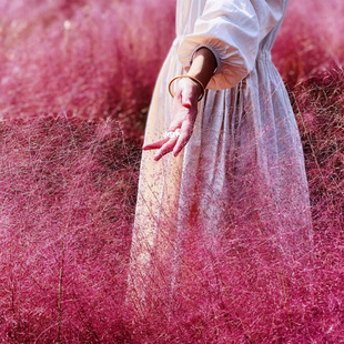 ���õĵȴ� ����y�� �ݷN�ӾW�t�ݻ��N����ëâ�y�Ӳݶ��������N