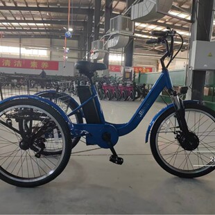 ���Q늄���݆܇�X�Ͻ�48V 500W�r���p���H���T����݆