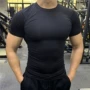 健身速干运动跑步t恤