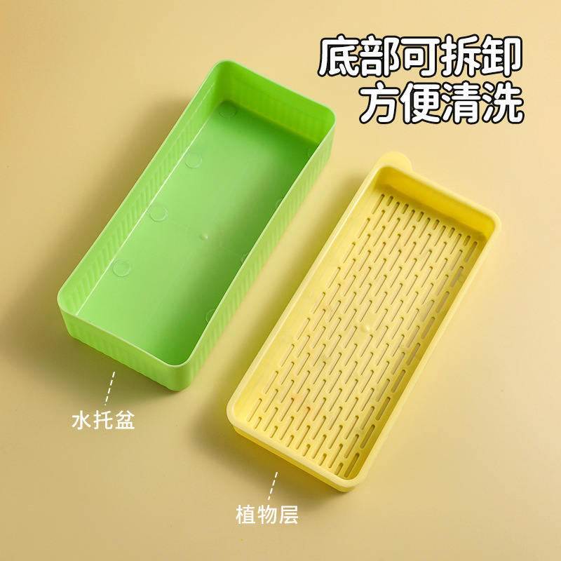 New Pet Cat Grass Planting Box Soilless Cultivation Cat Grass Set Cat Snacks Hydroponic Grass Planting Pet Supplies