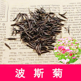 ��ɫ��˹�շN�Ӷ�ɫ�ջ��N�Ѱ��U��ɫ��ɣ���N����ɫ�ղݻ��ܷN��