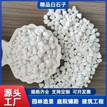 白色石子厂家批发园林造景白色鹅卵石白色砾石庭院铺路用白色石头