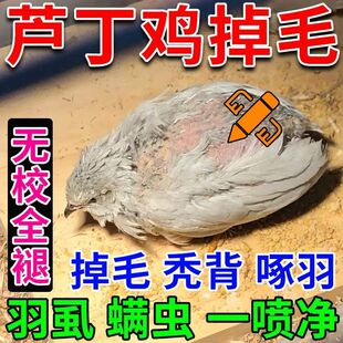 �J���u���\���F�J���u��x������������Óë�����B�w����xʭ�\��