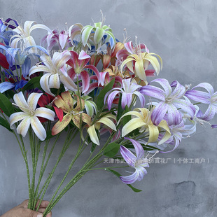 �ٺϷ��滨 5�^3D��ӡ��߅�ٺϼٻ� ��Y�õ���·�������b���