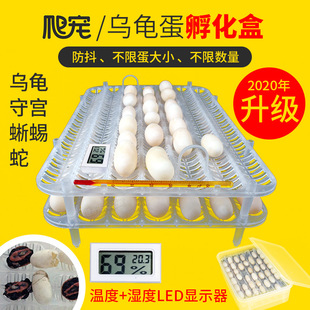Medium-Free Incubator Box for Southern Stone Turtles, Tortoises, Lizards, Snakes, Geckos, Reptile Eggs, Anti-Shake Incubator