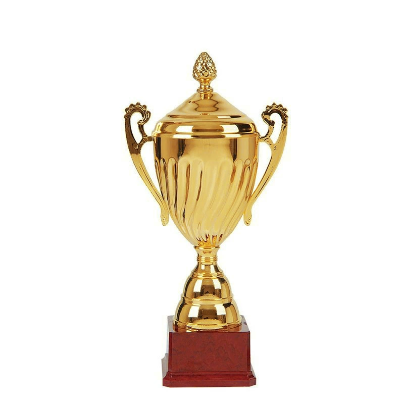 Redwood color base gold -plated metal trophy all grade competition awards gift primary school junior high school high school high school