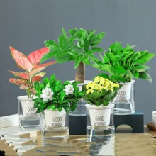 �lؔ��Gֲ����С�����J�C����ֲ���k���҃Ⱥ��B�d�ӻ���ˮ��G�}