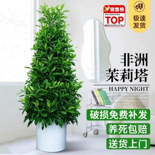 ���������҃ȾGֲ�����Ի��^�������ȩ�·����Æ��w�Y���¾��滨