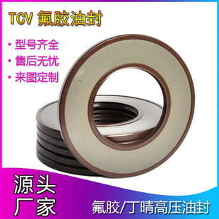 TCV65*120*7���zFKM�͸ߜ������и߉��Ǽ��ͷ��m�乤�̙Cе�ͱ�