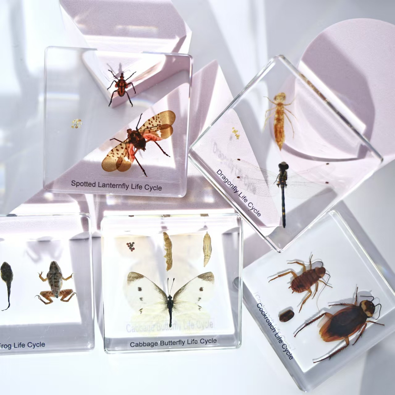 微信图片_20240804221013