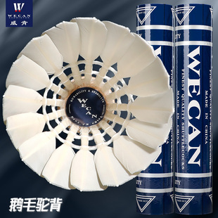 ���{������G6��ë���ʹ��w�з����Zë���^���IӖ����ِ����12ֻ�b