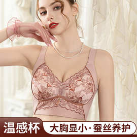 大码蕾丝内衣女大胸显小无钢圈蕾丝性感调整型防下垂侧收文胸批发