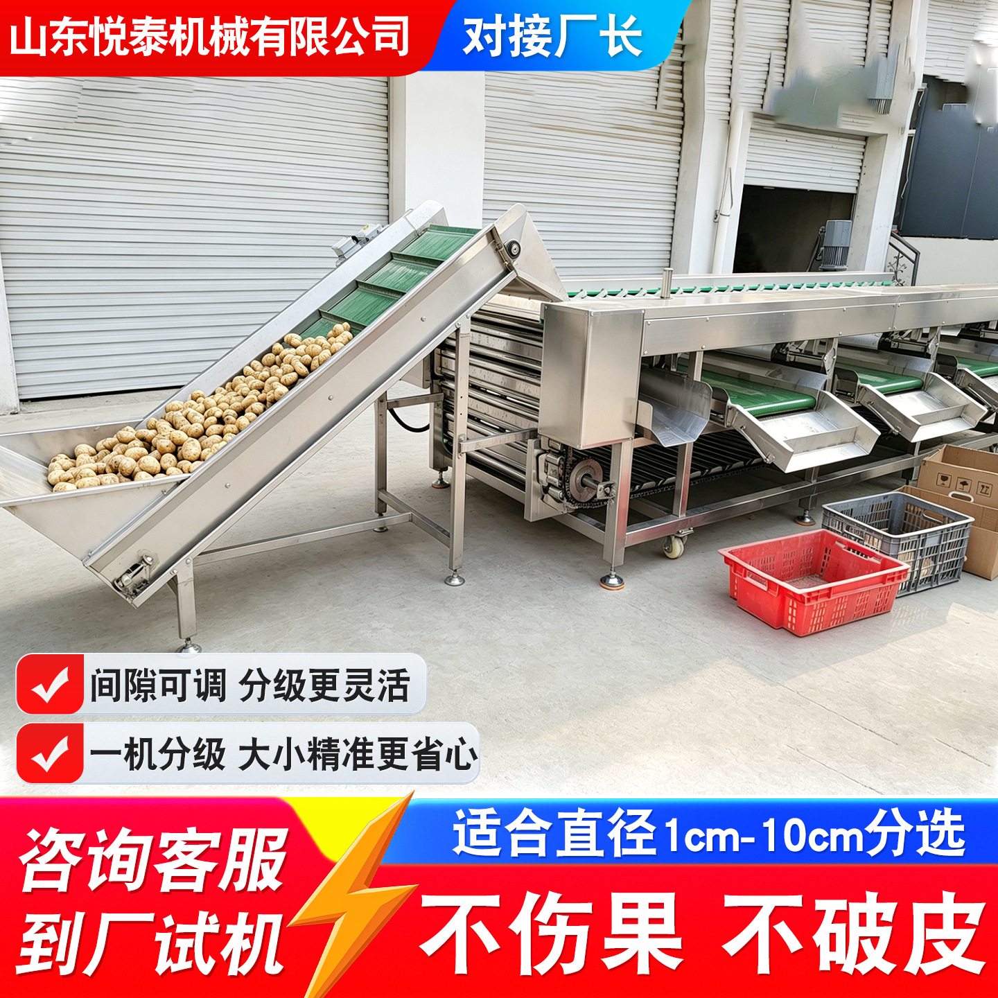 Commercial fully automatic roller-type walnut and cassava sorting…