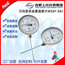 WSS-581双金属温度计0-300℃烤炉温度表工业级径向型上仪仪表集团