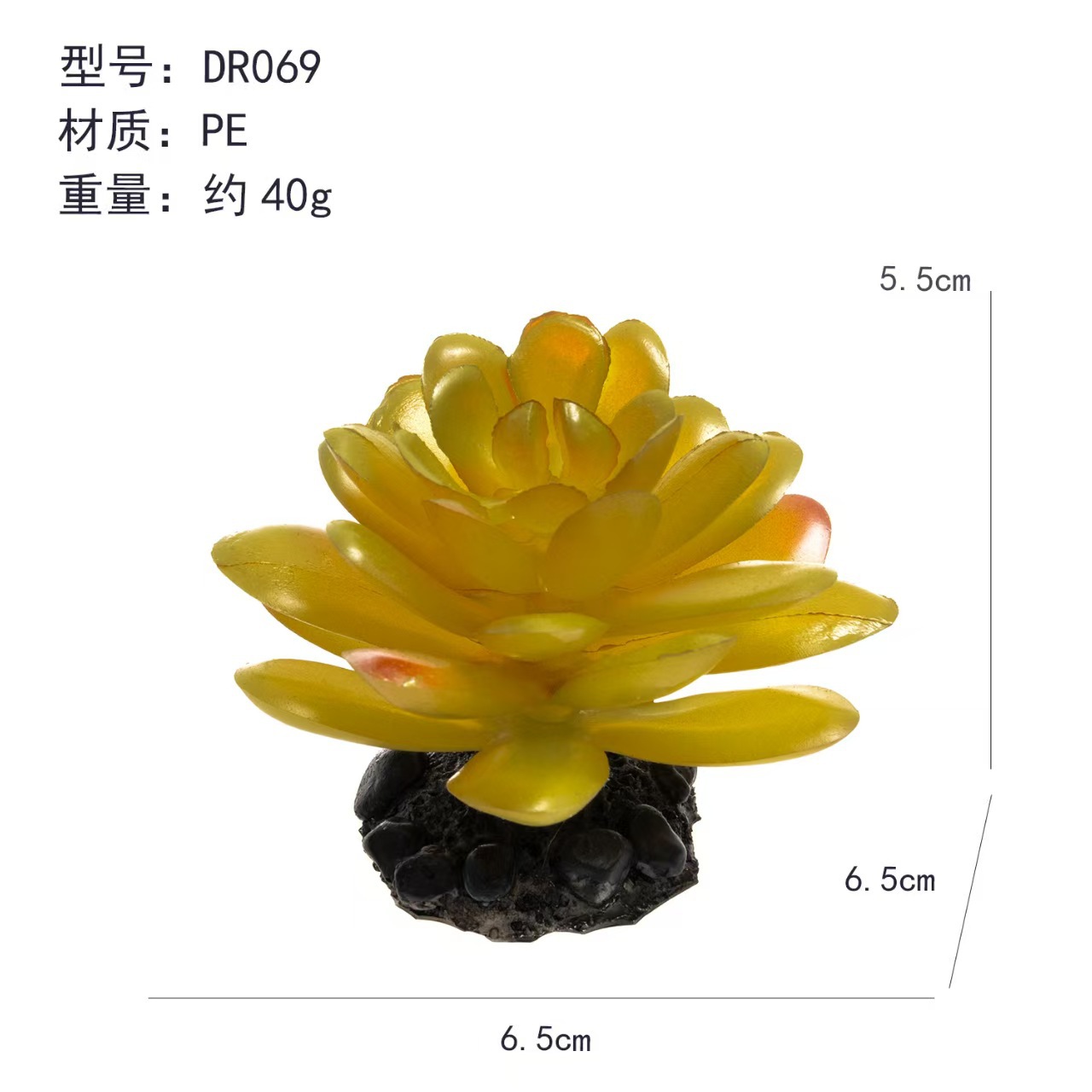 Simulación de paisajismo de peceras transfronterizas, planta suculta, tanque de escalada, decoración de conjunto, fábrica de decoración de piñas de aire