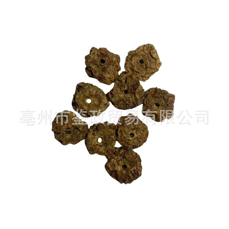 Silvervine Fruit Cat Chew Toy Matatabi Mu Tian Liao Whole Dried Galls Natural Enrichment overview