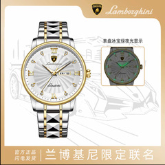 AUTOMOBILI LAMBORGHINI兰博基尼联名限定款转运挥官腕表手表