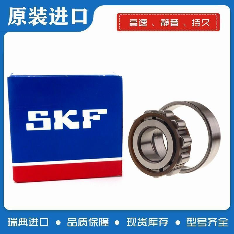 进口SKF轴承 N213 N214 N215 N216 N217 N218 N219 N220 ECP/EM