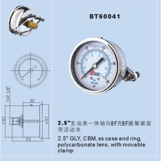 批发消毒压力表 螺纹安装指针表 径向不锈钢耐震BT60041压力表