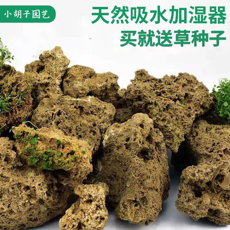 小型造景石配石石材假山上水石盆景原石毛料石头摆件吸水石微景观|undefined
