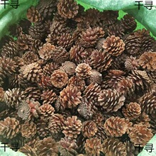 ��Ȼ�����ɻ��b�Ʒ�[���ɹ�CM2�}�Q��14�ɘ��׃��@�ֹ�diy����