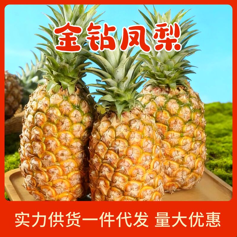 【Express Delivery】Hainan Golden Diamond Pineapple, Sweet and Juicy, Nutritious Large Fruit, Fresh Seasonal Fruit Directly Supplied from the Place of Origin