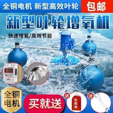 ~C~݆ʽˮBֳؚʽȫԄB~ش