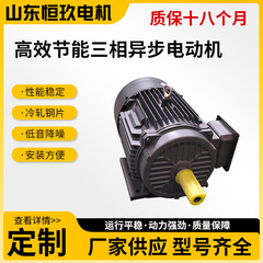 大学省エネ三相非同期モーター全銅線国家標準エネルギー効率産業機械モーターソース低価格