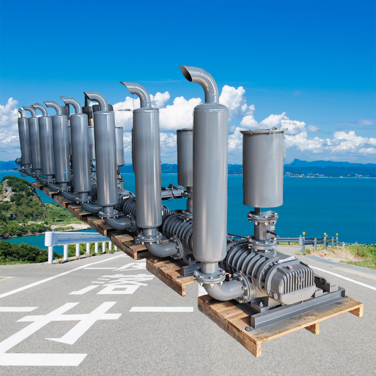 生产罗茨鼓风机 低噪音工业大功率罗茨真空泵负压不锈钢罗茨风机