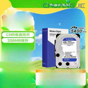 Desktop Hard Drive Wd Blue Western Digital Blue Disk 6Tb 5400Rpm 256Mb Sata 3.5inch Cmr