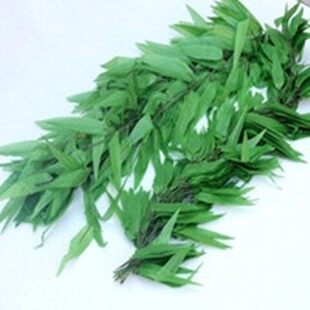 �������~�b�С���lֲ���ٗl������b������~�ٻ��٘��~��.