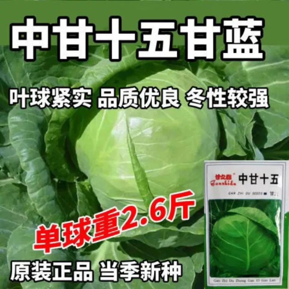 Семена капусты Zhonggan XV Высокоурожайные гибридные весенне-осенне-зимние посевные семена овощных культур на балконе Семена капусты Четыре сезона