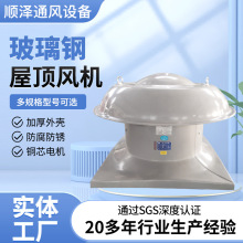 顺泽厂房轴流通风机排风扇玻璃钢通风器防雨风机dwt 防腐屋顶风机